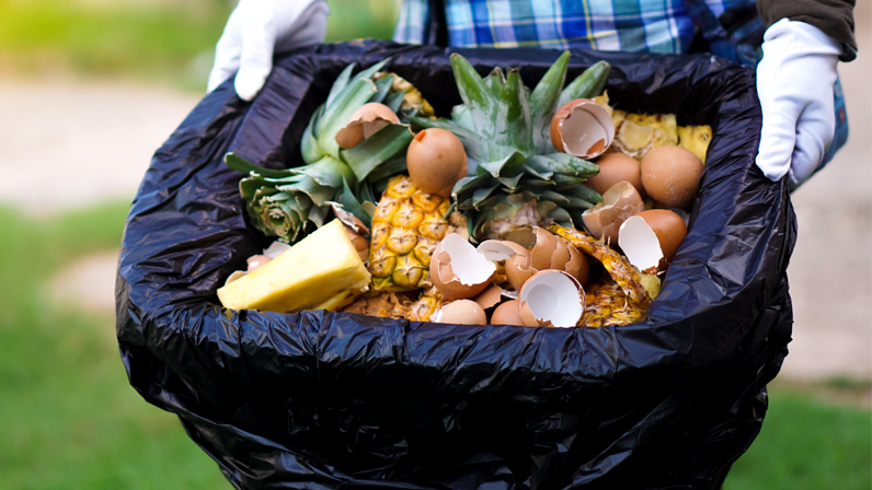 Compostagem: Entenda o que é e como funciona 