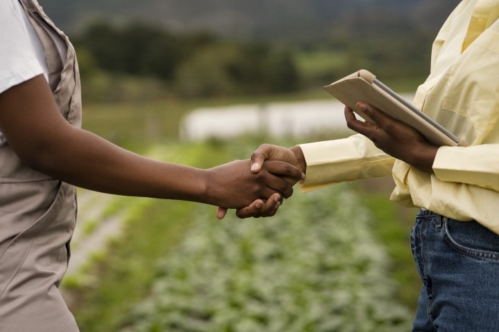 inteligencia vendas agro